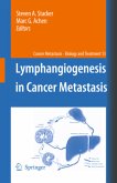Lymphangiogenesis in Cancer Metastasis