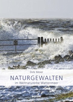 Naturgewalten im Weltnaturerbe Wattenmeer - Meier, Dirk