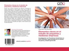 Elementos claves en el estudio de pequeñas y medianas empresas - Cano Hernández, Carlos Arturo