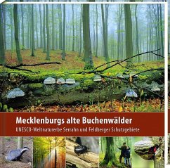 Mecklenburgs alte Buchenwälder - Borrmann, Klaus