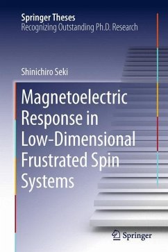 Magnetoelectric Response in Low-Dimensional Frustrated Spin Systems - Seki, Shinichiro