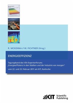 Energieeffizienz : Tagungsband des VDI-Expertenforums - McKenna, Russell;