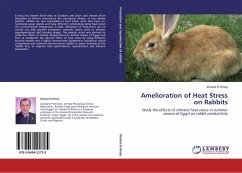 Amelioration of Heat Stress on Rabbits