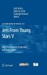 Jets From Young Stars V - Bild 1