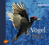 Vögel - Magische Momente