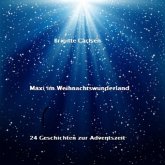 Maxi im Weihnachtswunderland (MP3-Download)