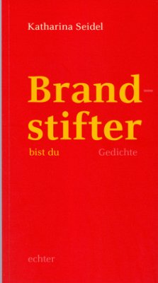 Brandstifter bist du - Seidel, Katharina