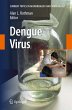 Dengue Virus - Bild 1
