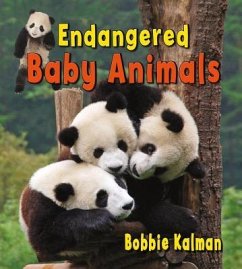Endangered Baby Animals - Kalman, Bobbie