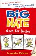 Big Nate Goes for Broke - Bild 1