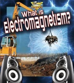 What Is Electromagnetism? - Sandner, Lionel