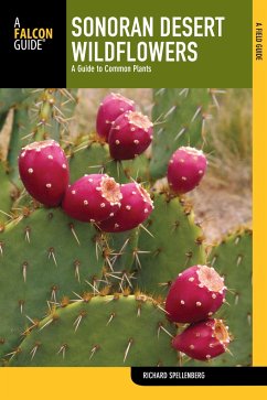 Sonoran Desert Wildflowers - Spellenberg, Richard