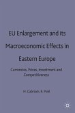 EU Enlargement and Its Macroeconomic Effects in Eastern Europe