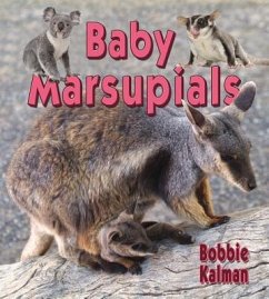 Baby Marsupials - Kalman, Bobbie