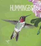 Living Wild: Hummingbirds