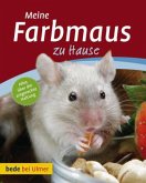 Meine Farbmaus zu Hause