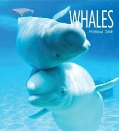 Living Wild: Whales - Gish, Melissa