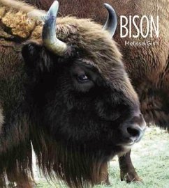 Living Wild: Bison - Gish, Melissa