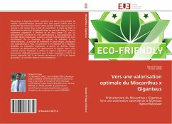 Vers une valorisation optimale du Miscanthus x Giganteus - El Hage, Roland;Brosse, Nicolas