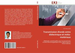 Transmission d'onde entre diélectrique et méta-matériaux - Zwölf, Carlo Maria