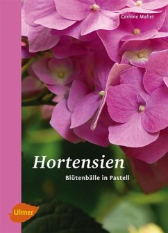 Hortensien - Mallet, Corinne