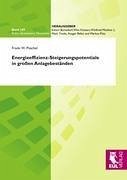 Energieeffizienz-Steigerungspotentiale in großen Anlagebeständen - Püschel, Frank W.