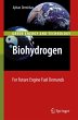 Biohydrogen - Bild 1