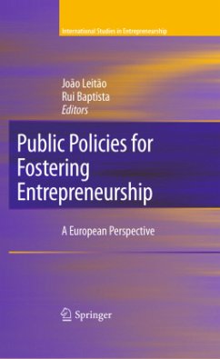 Public Policies for Fostering Entrepreneurship