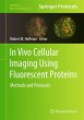 In Vivo Cellular Imaging Using... - Bild 1