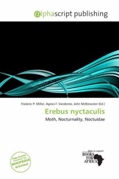 Erebus nyctaculis