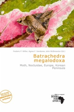 Cover Batrachedra megalodoxa