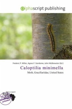 Caloptilia minimella