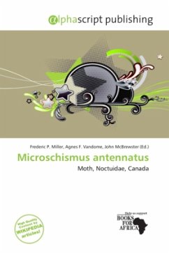 Microschismus antennatus