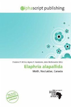 Elaphria alapallida