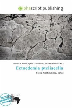 Ectoedemia pteliaeella