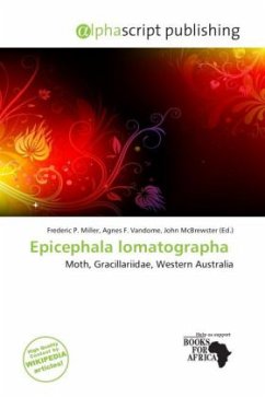 Epicephala lomatographa