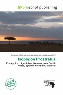 Isopogon Prostratus