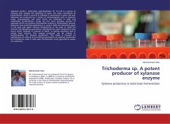 Trichoderma sp. A potent producer of xylanase enzyme