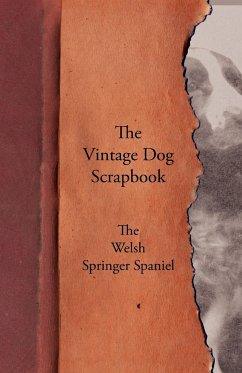 The Vintage Dog Scrapbook - The Welsh Springer Spaniel - Various