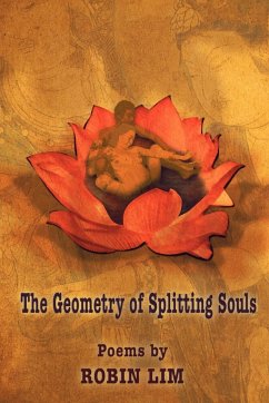 THE GEOMETRY OF SPLITTING SOULS - Lim, Robin