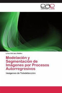 Modelación y Segmentación de Imágenes por Procesos Autorregresivos - Mallea, Lilian Adriana