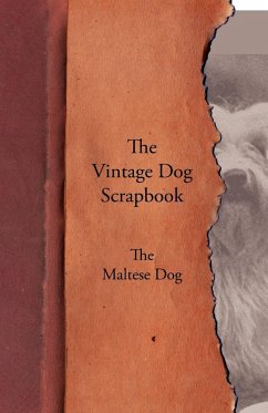 The Vintage Dog Scrapbook - The Maltese The Vintage Dog Scrapbook - The Maltese