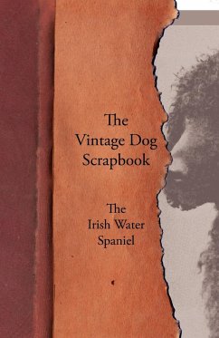 The Vintage Dog Scrapbook - The Irish Water Spaniel