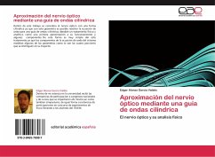 Aproximación del nervio óptico mediante una guía de ondas cilíndrica - García Valdés, Edgar Alonso