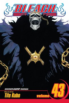 Bleach, Vol. 43 - Kubo, Tite