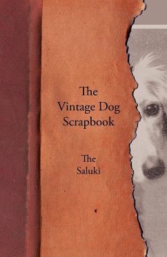 The Vintage Dog Scrapbook - The Saluki - Various