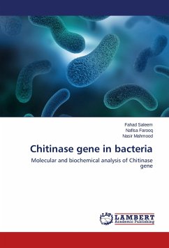 Chitinase gene in bacteria