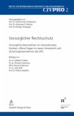 Vorsorglicher Rechtsschutz