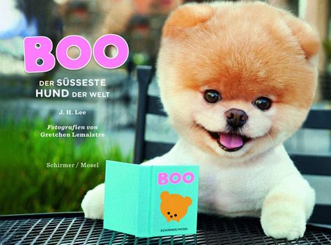 Boo - Der süßeste Hund der Welt portofrei bei bücher.de bestellen