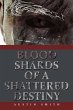 Blood Shards of a Shattered Destiny - Bild 1